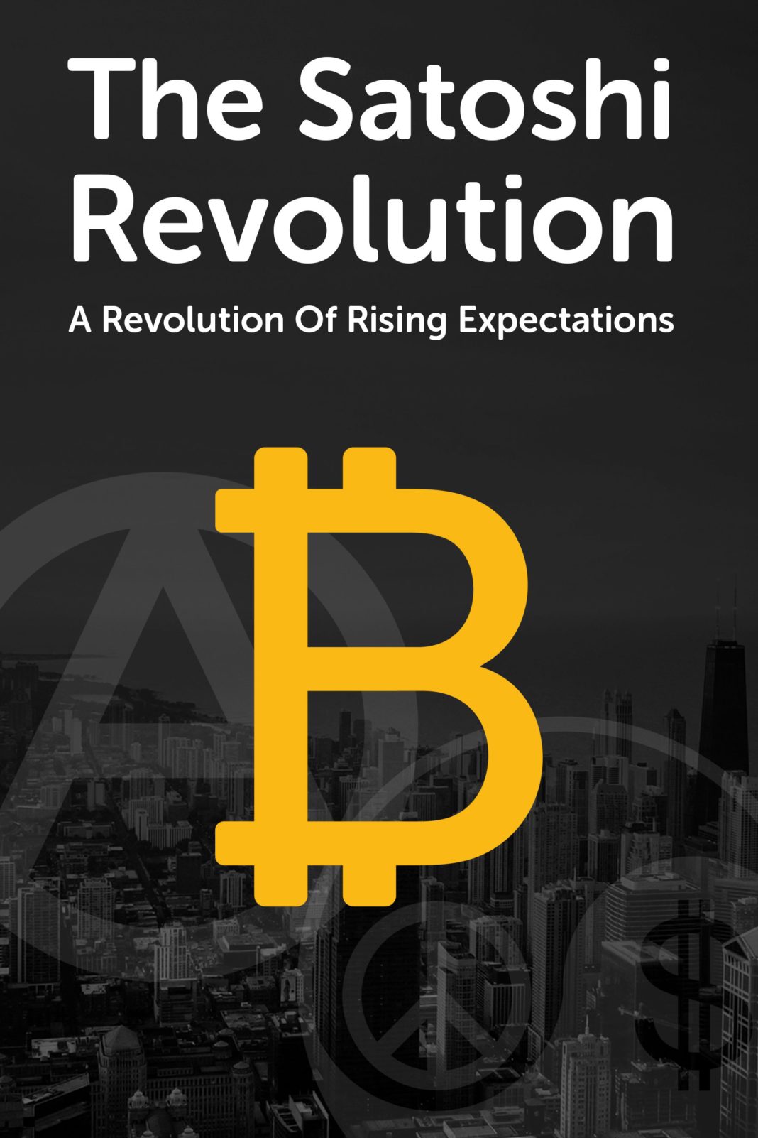 The Satoshi Revolution