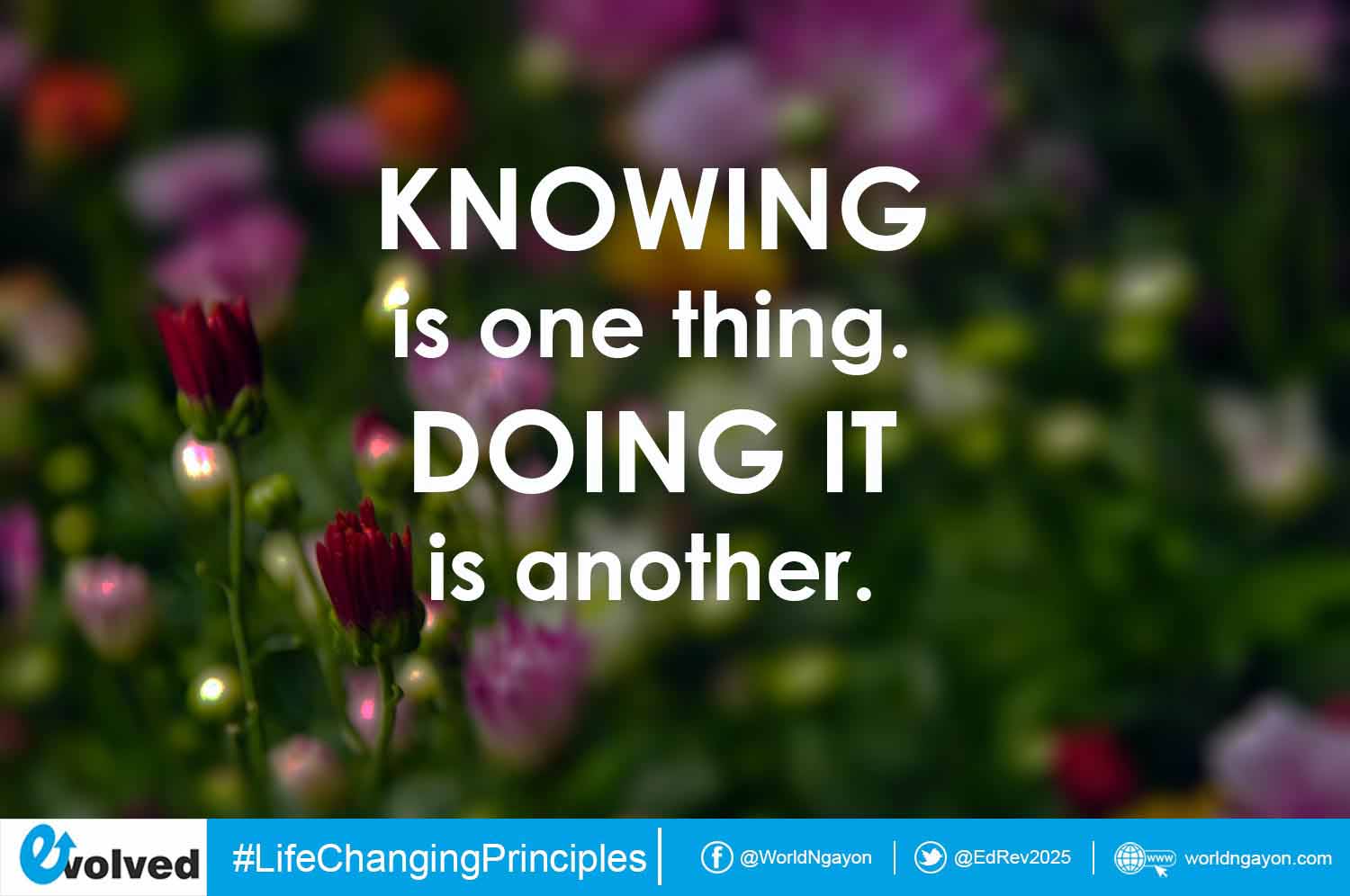 life-changing-principles-not-your-know-how-but-do-how-worldngayon