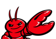 OpenClaw AI: Complete Guide to the Open-Source Self-Hosted AI Agent 2026 OpenClaw AI - Open-Source Self-Hosted AI Agent