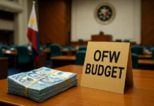 Where Your OFW Fees Go: the DMW and OWWA 2027 Budget, Line by Line OFW budget