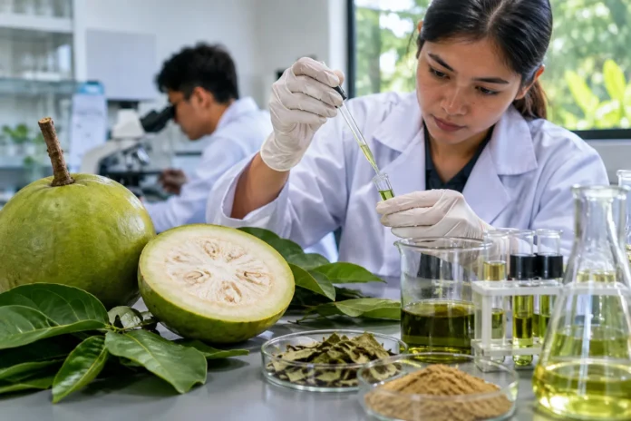 Calabash contains active ingredients potential for cancer treatment calabash contains active ingredients potential
