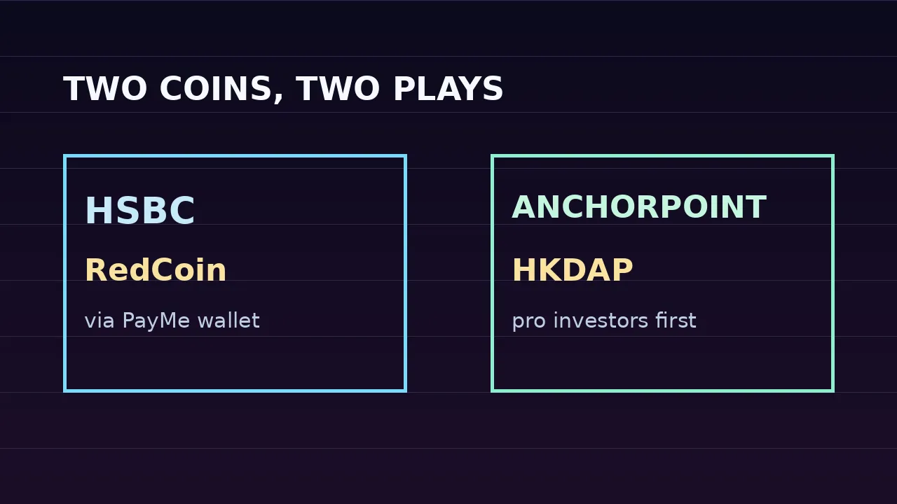Hong Kong Stablecoin Licenses: 2 Winners, 34 Still Waiting 1 Hong Kong stablecoin comparison graphic: HSBC RedCoin through PayMe wallet versus Anchorpoint HKDAP for professional investors.
