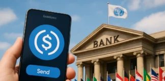 Samsung Wallet USDC